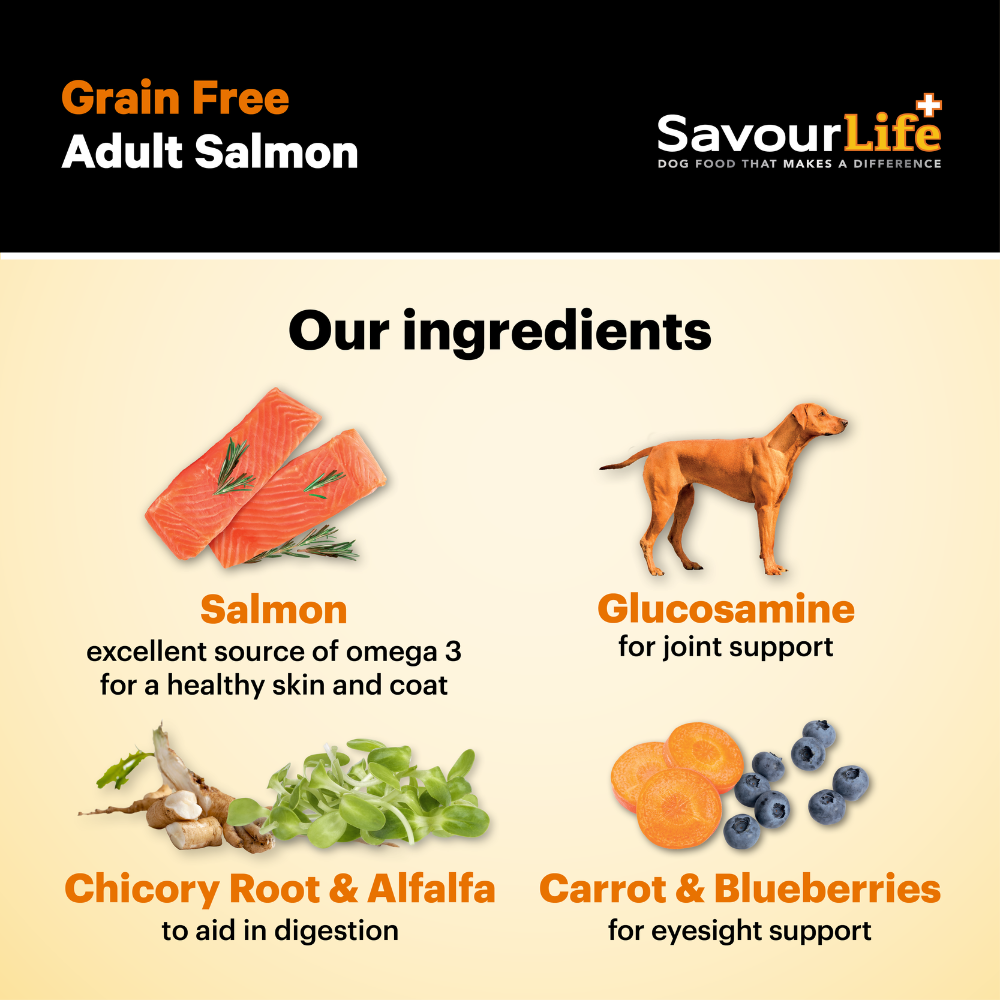 A closer look at Sensitive Dogs And Grain Free Salmon Food
